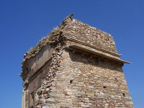Chittorgarh fort ruins (4179491639)